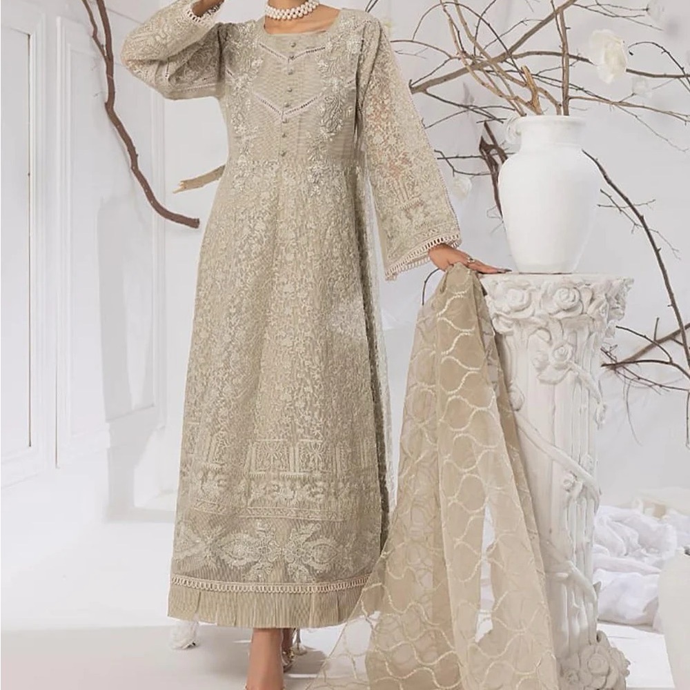 Pakistani Elegant Beige Lace Dress